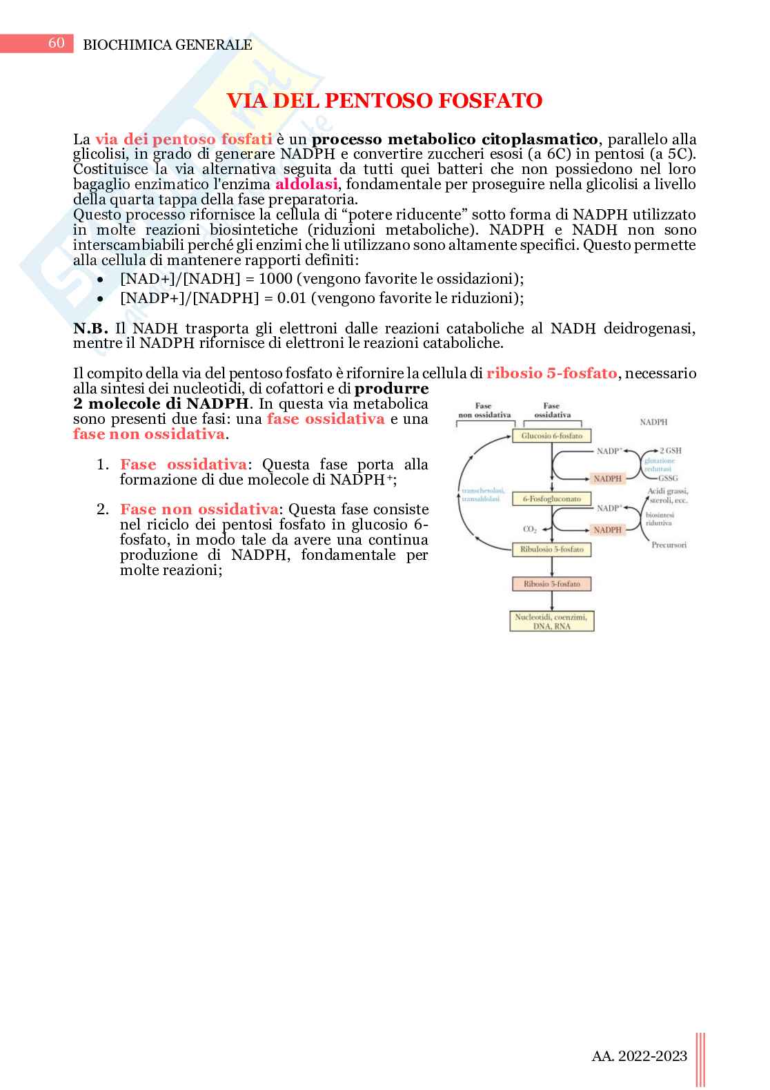 Biochimica generale Pag. 61