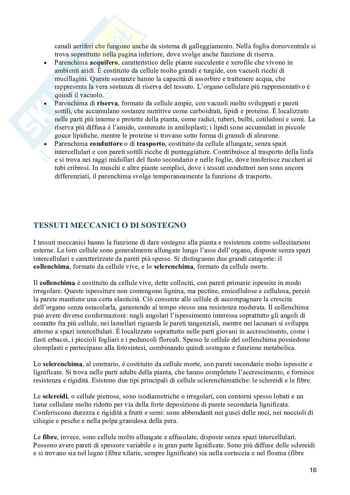Appunti di Biologia vegetale (3CFU) Pag. 16