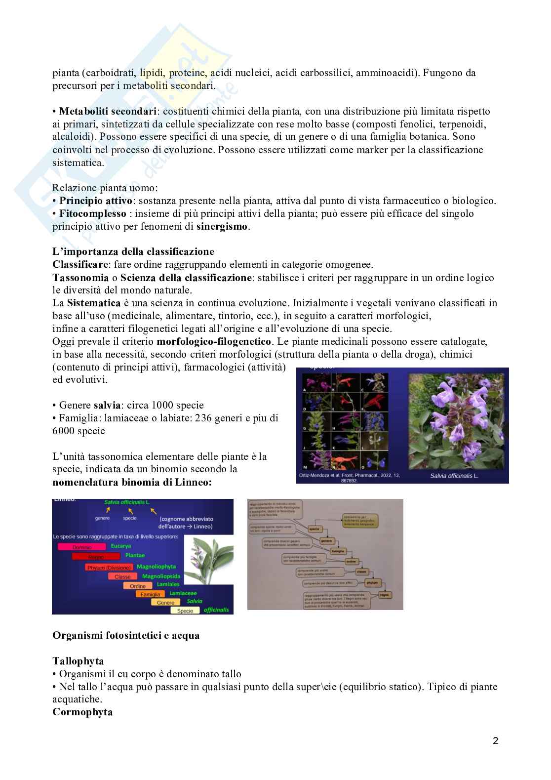 Appunti di Biologia vegetale (3CFU) Pag. 2