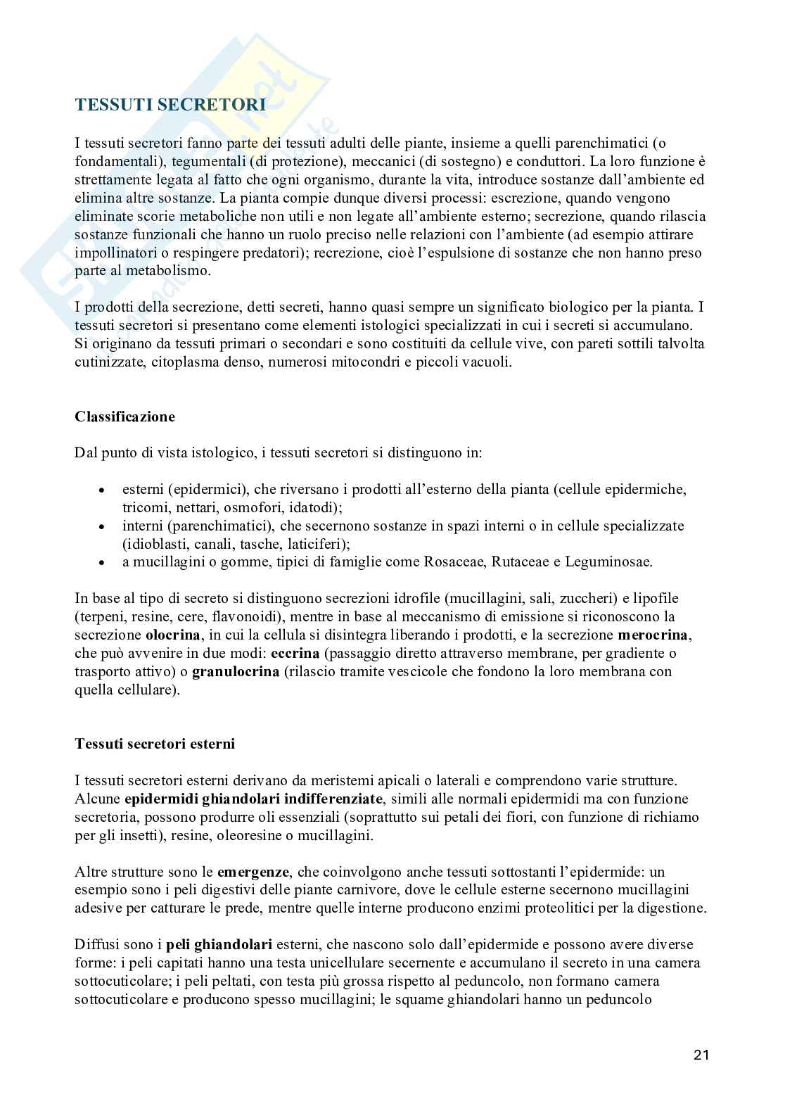 Appunti di Biologia vegetale (3CFU) Pag. 21