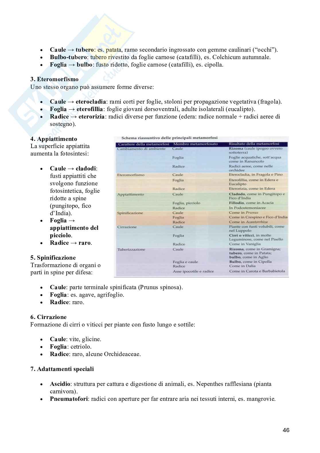 Appunti di Biologia vegetale (3CFU) Pag. 46