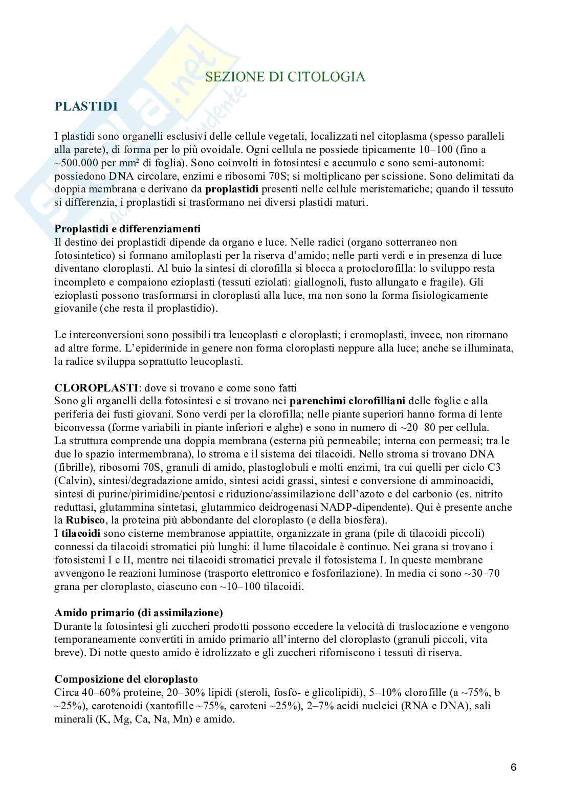 Appunti di Biologia vegetale (3CFU) Pag. 6