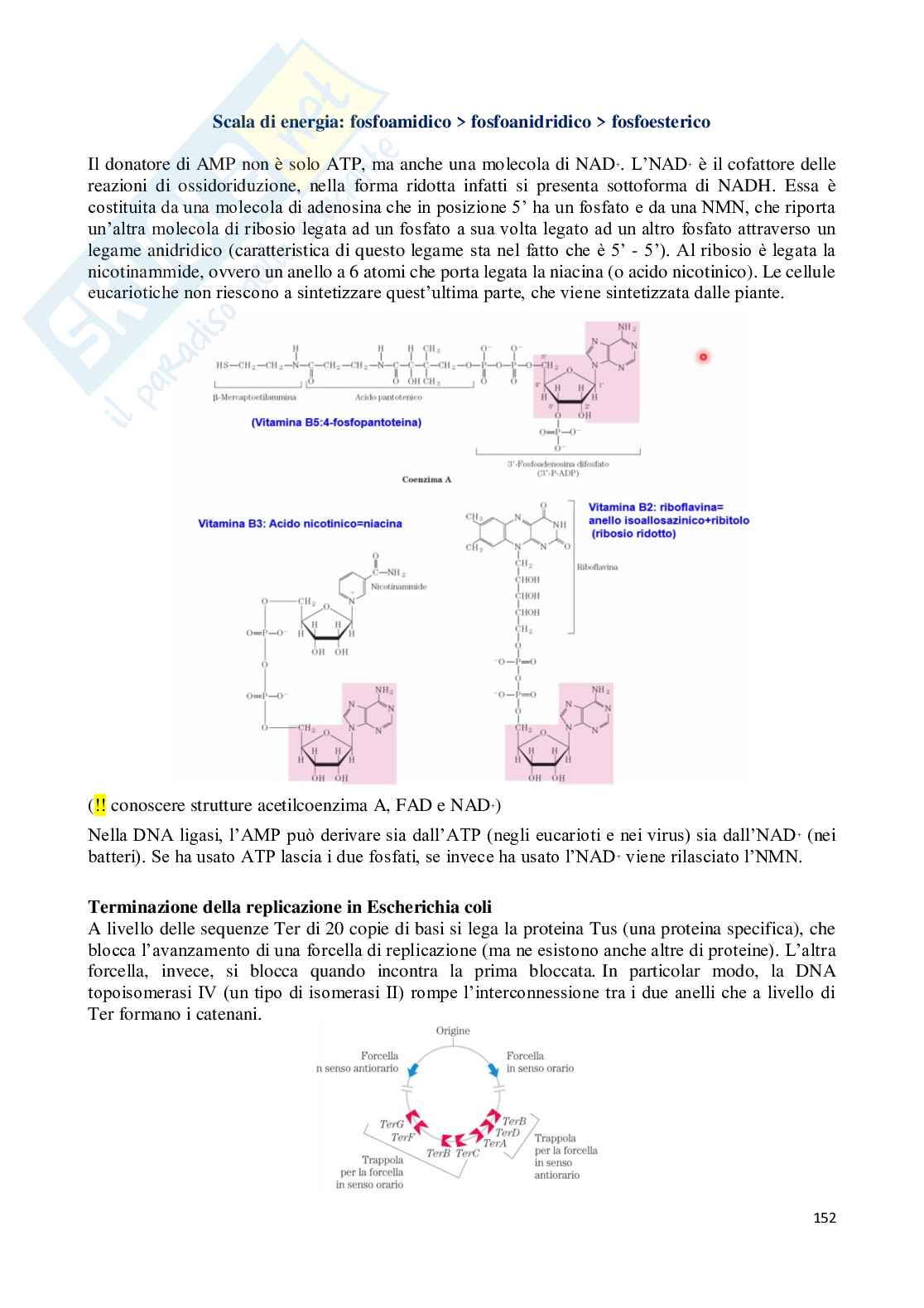 Riassunto esame Biochimica, Prof. Marcocci Lucia, libro consigliato Principi di biochimica, Lehninger  Pag. 6