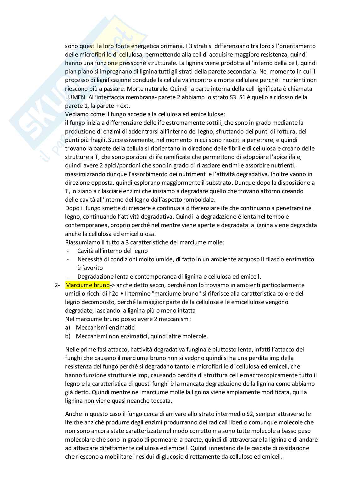 Micologia - Appunti parte 2 Pag. 6
