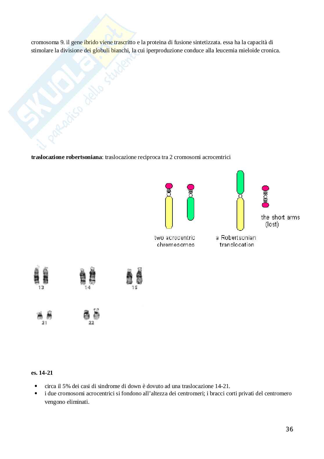 Genetica medica Pag. 36