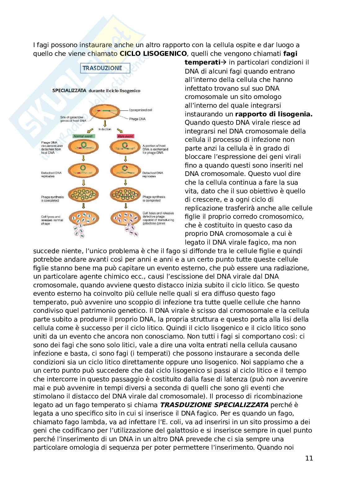 Biotecnologiche microbiche, prof Fortina Pag. 11