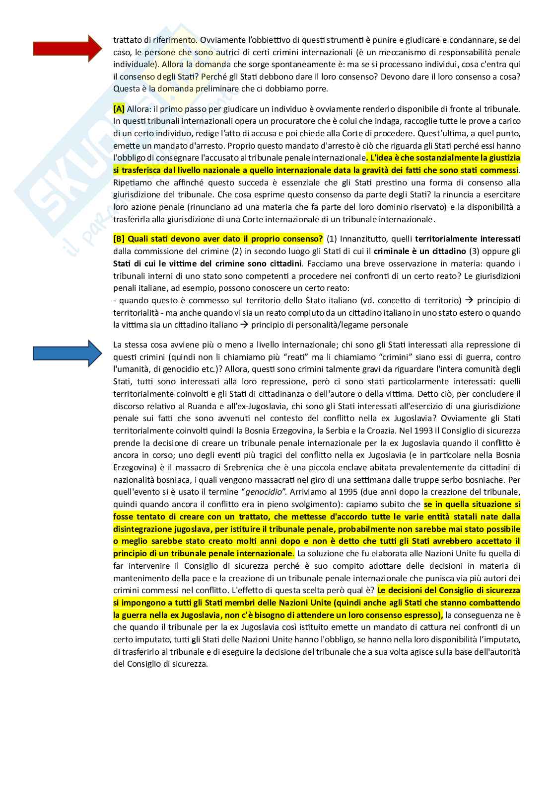 Appunti completi di Diritto internazionale Pag. 21