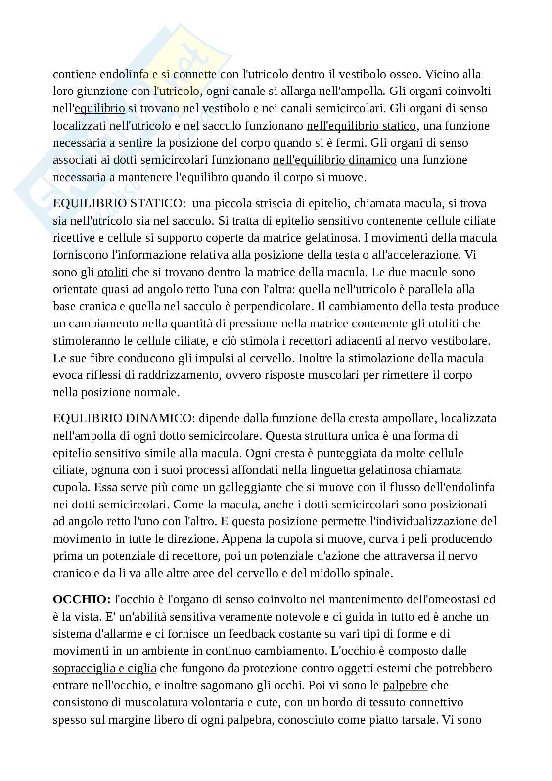 Riassunto esame di anatomia umana - parte 2 Pag. 41