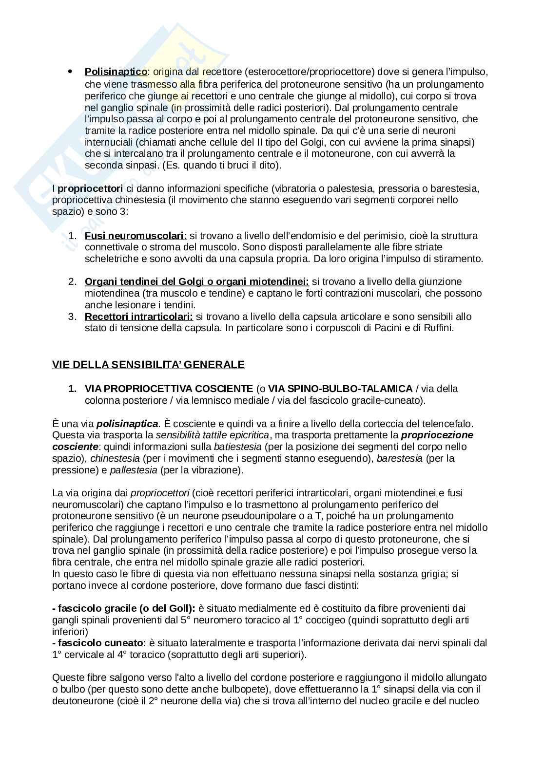 Anatomia, riassunto esame, 4° esonero (apparato digerente, apparato urinario, apparato genitale, apparato endocrino, peritoneo, orecchio, occhio e sistema nervoso) Pag. 56