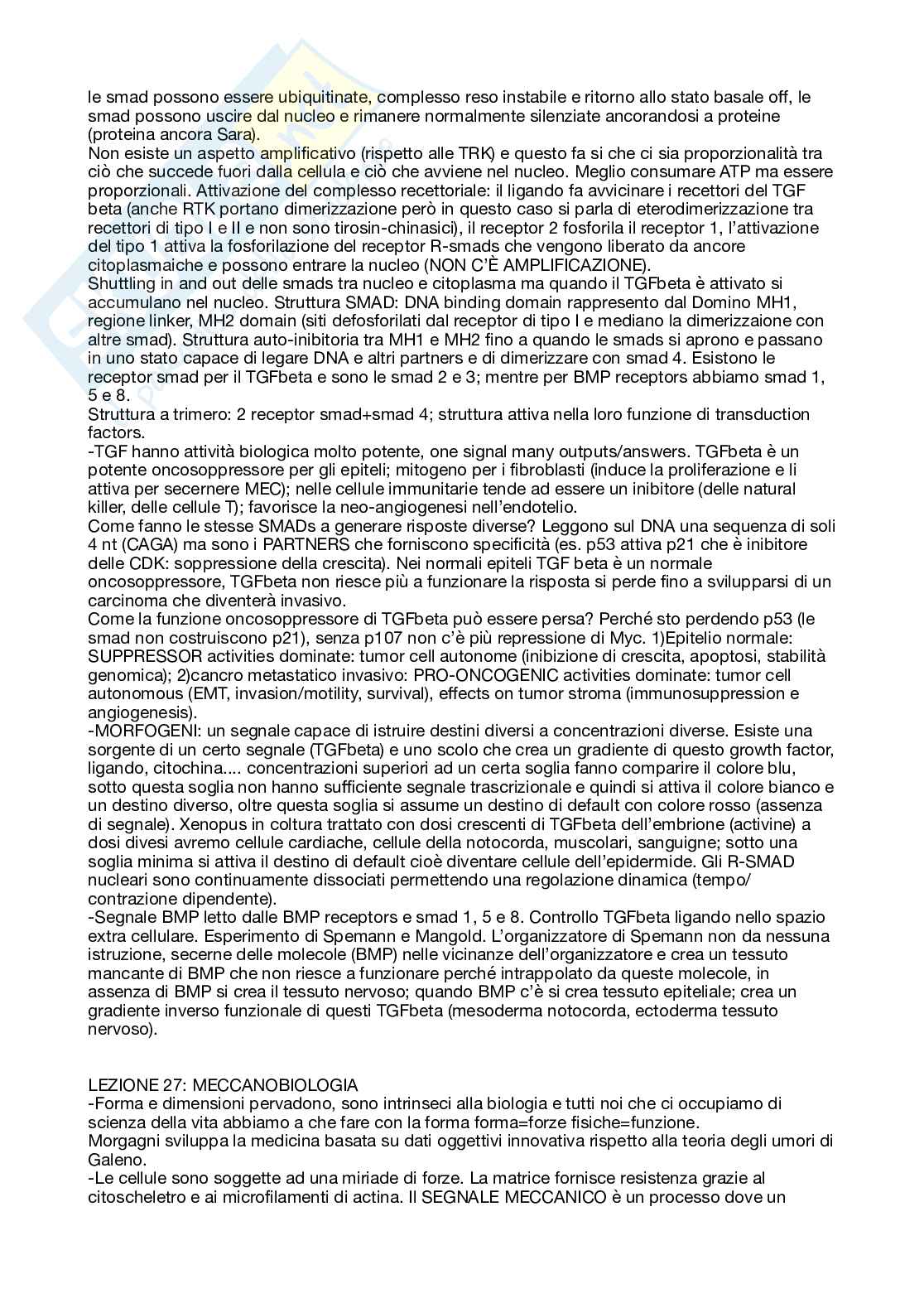 Appunti Biologia molecolare Pag. 46