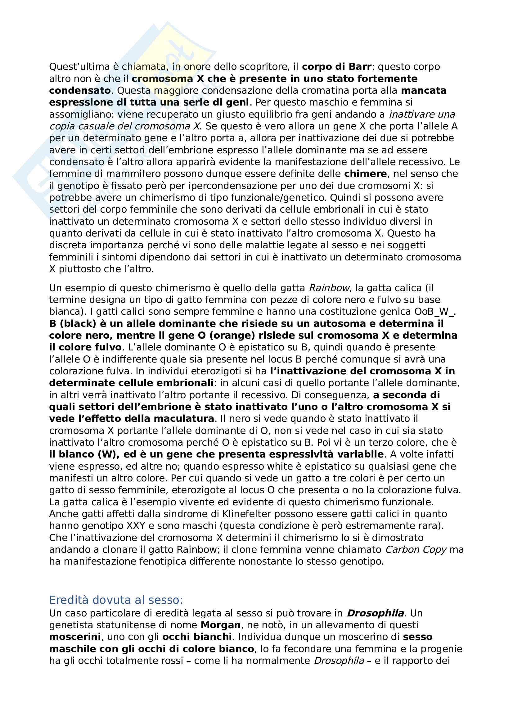 Genetica agraria Pag. 36