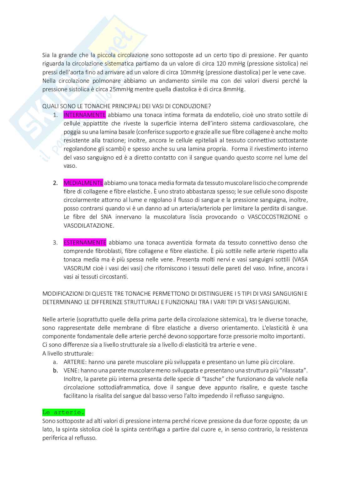 Anatomia Splancnologica o Generale Pag. 16