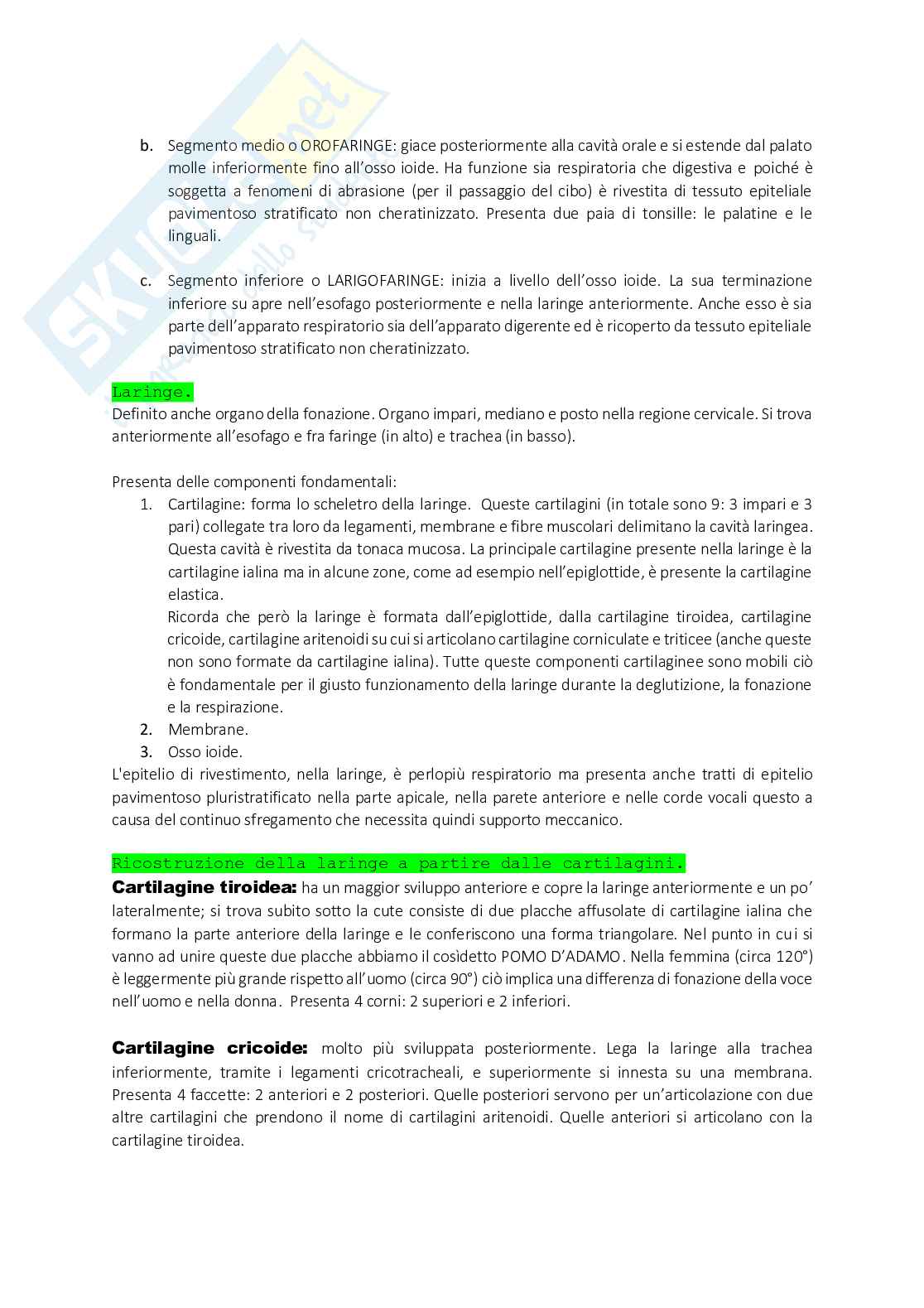 Anatomia Splancnologica o Generale Pag. 26