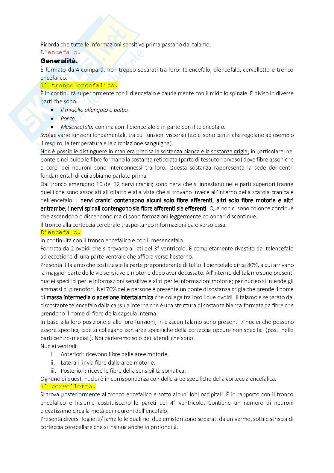 Anatomia Splancnologica o Generale Pag. 56