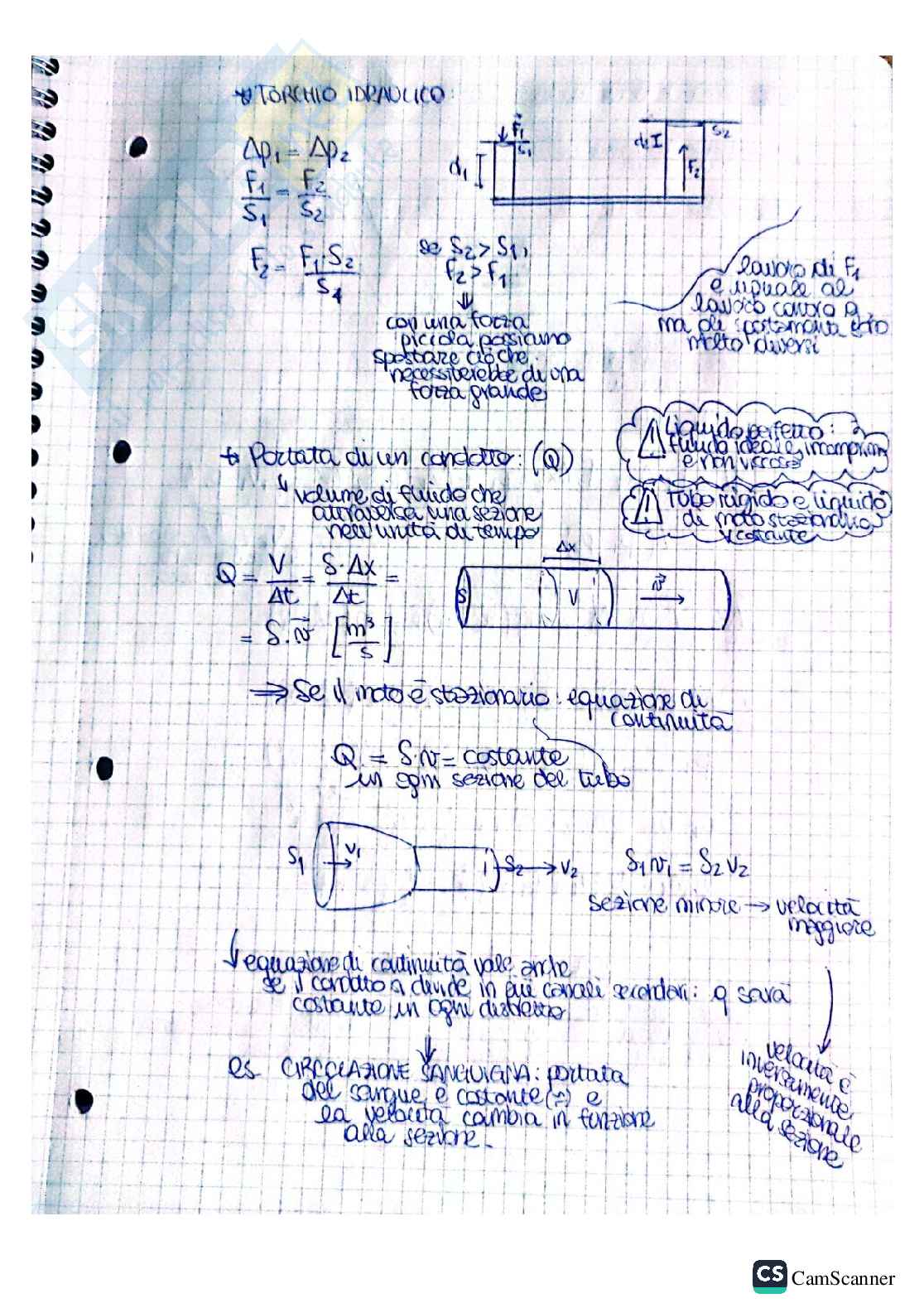 Fisica Pag. 31
