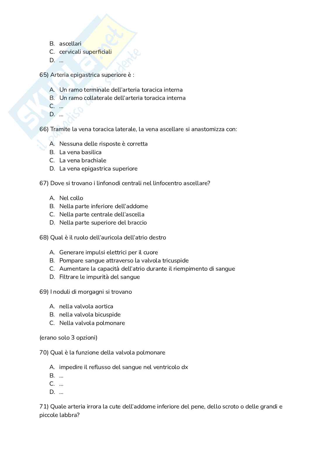 Anatomia I Pag. 11