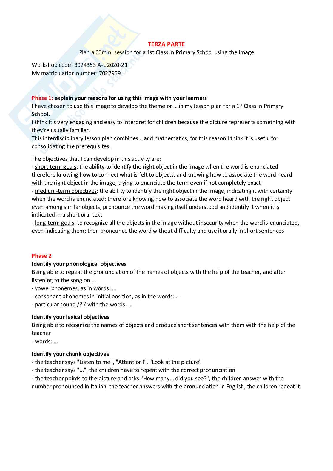 Laboratorio di lingua inglese (B024353) - Portfolio, esame scritto e orale, fonologia | SFP Notes Vol. 32 Pag. 21