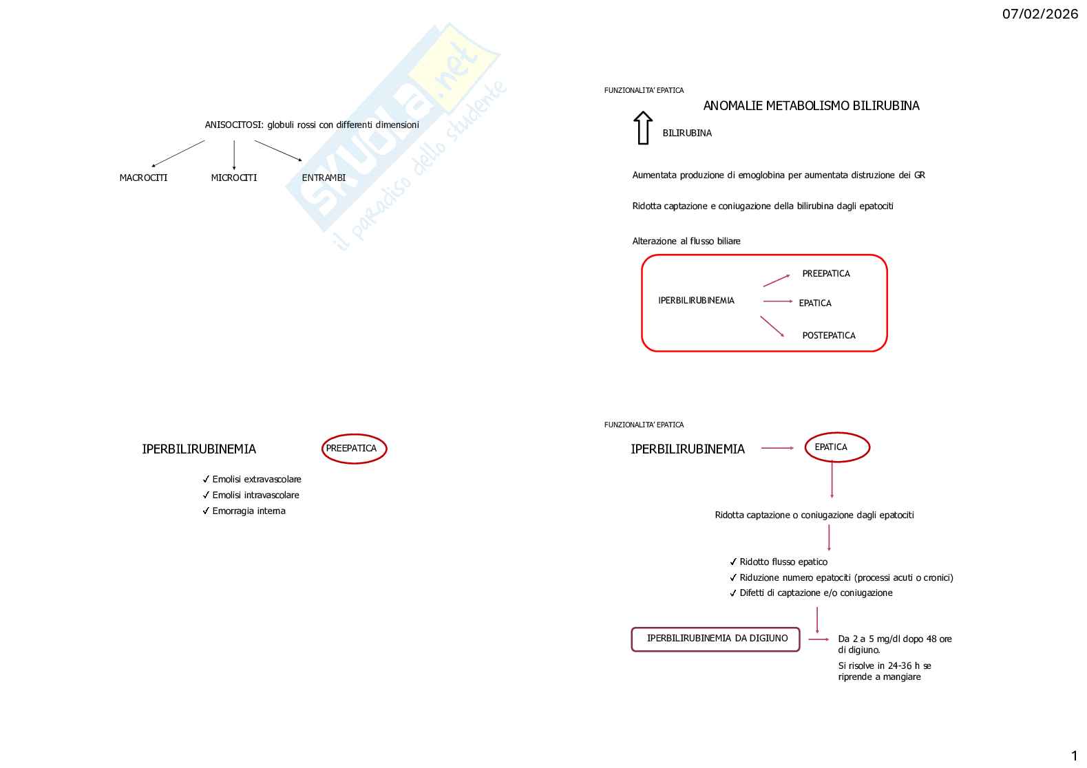 Caso clinico 1 di Clinica medica veterinaria Pag. 1