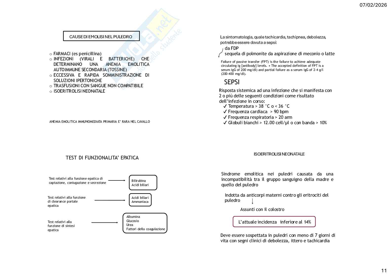 Caso clinico 1 di Clinica medica veterinaria Pag. 11