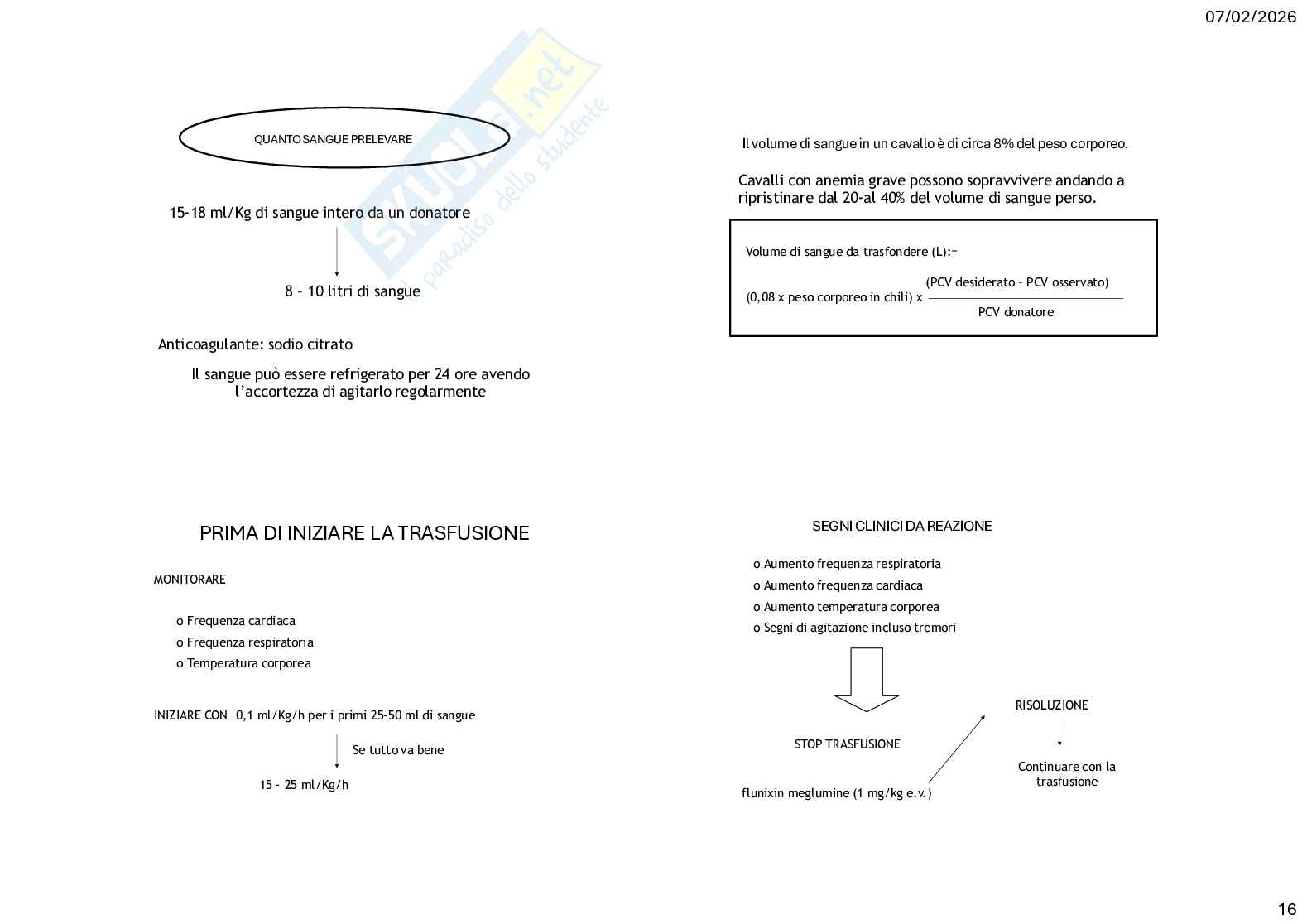Caso clinico 1 di Clinica medica veterinaria Pag. 16