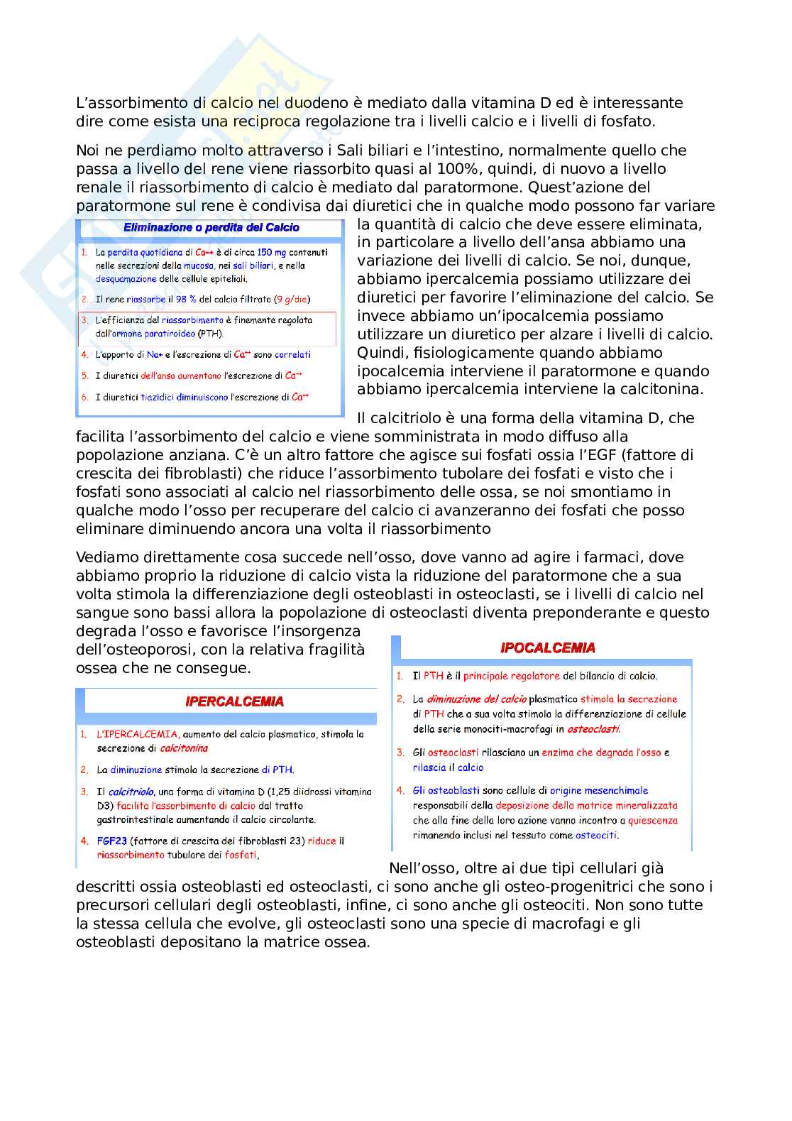 Farmacoterapia 2 - Parte 3 e 4 di 4 sugli ormoni Pag. 16