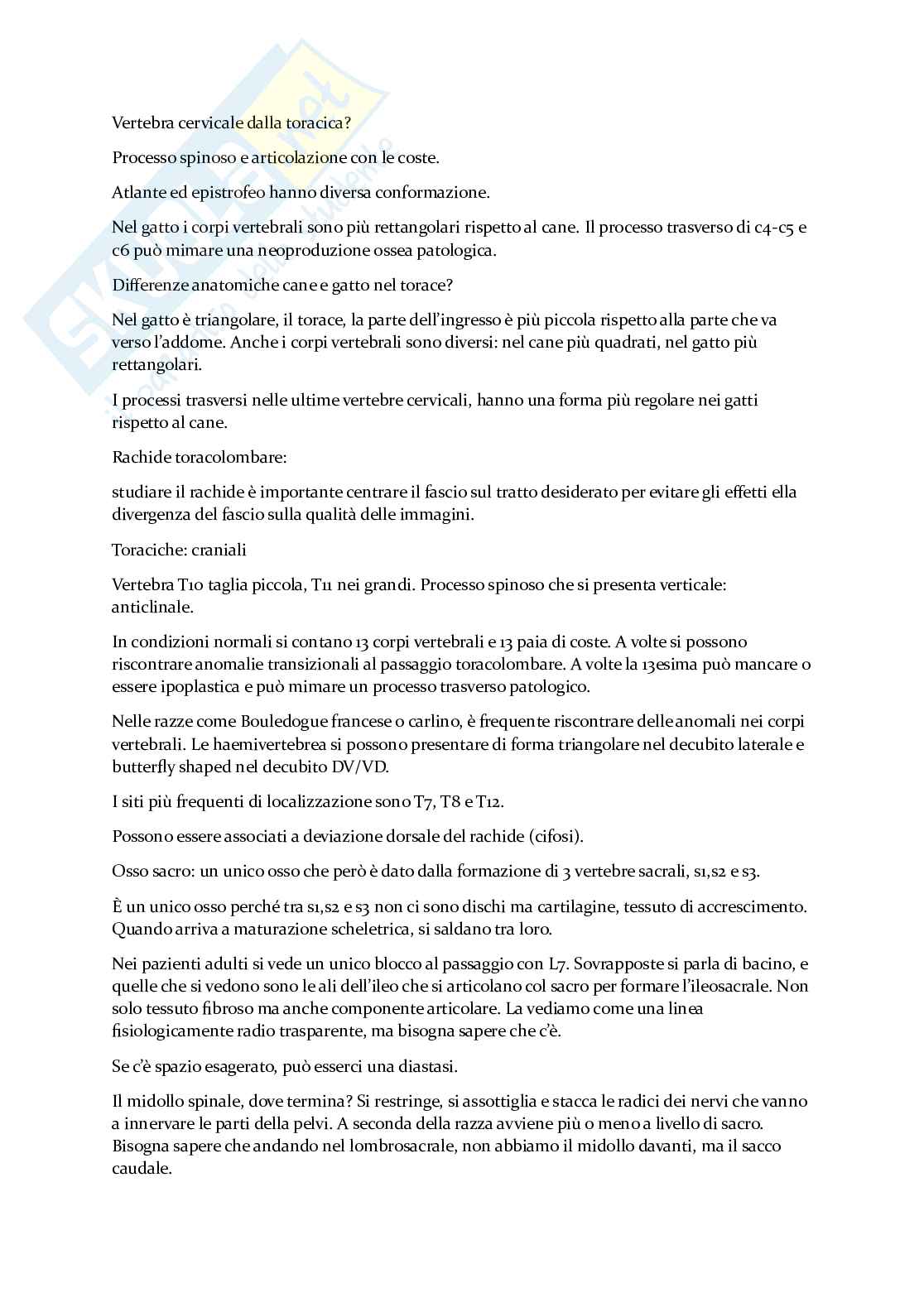Appunti esame Diagnostica per immagini Pag. 61