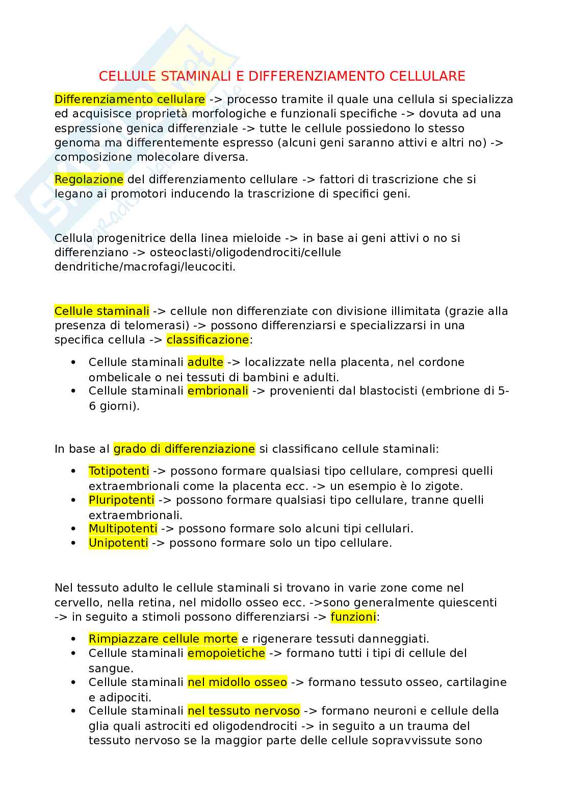 Crema Viso Cellule Staminali Vegetali - Frantoio Fratelli Narducci - Foto 3