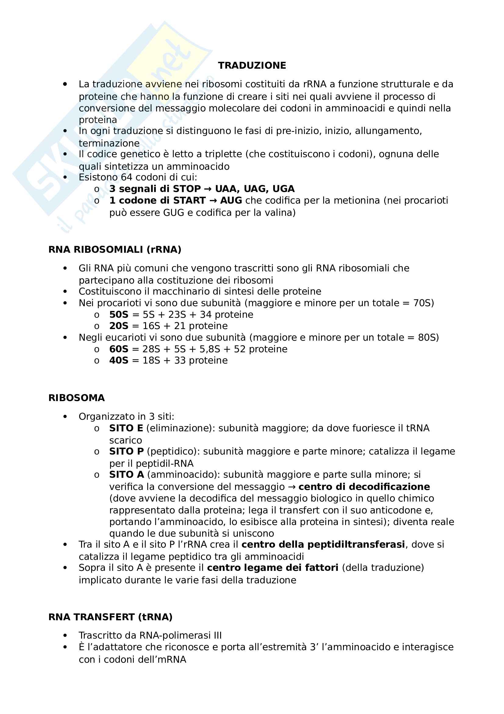 Traduzione Eucarioti e Procarioti Pag. 1