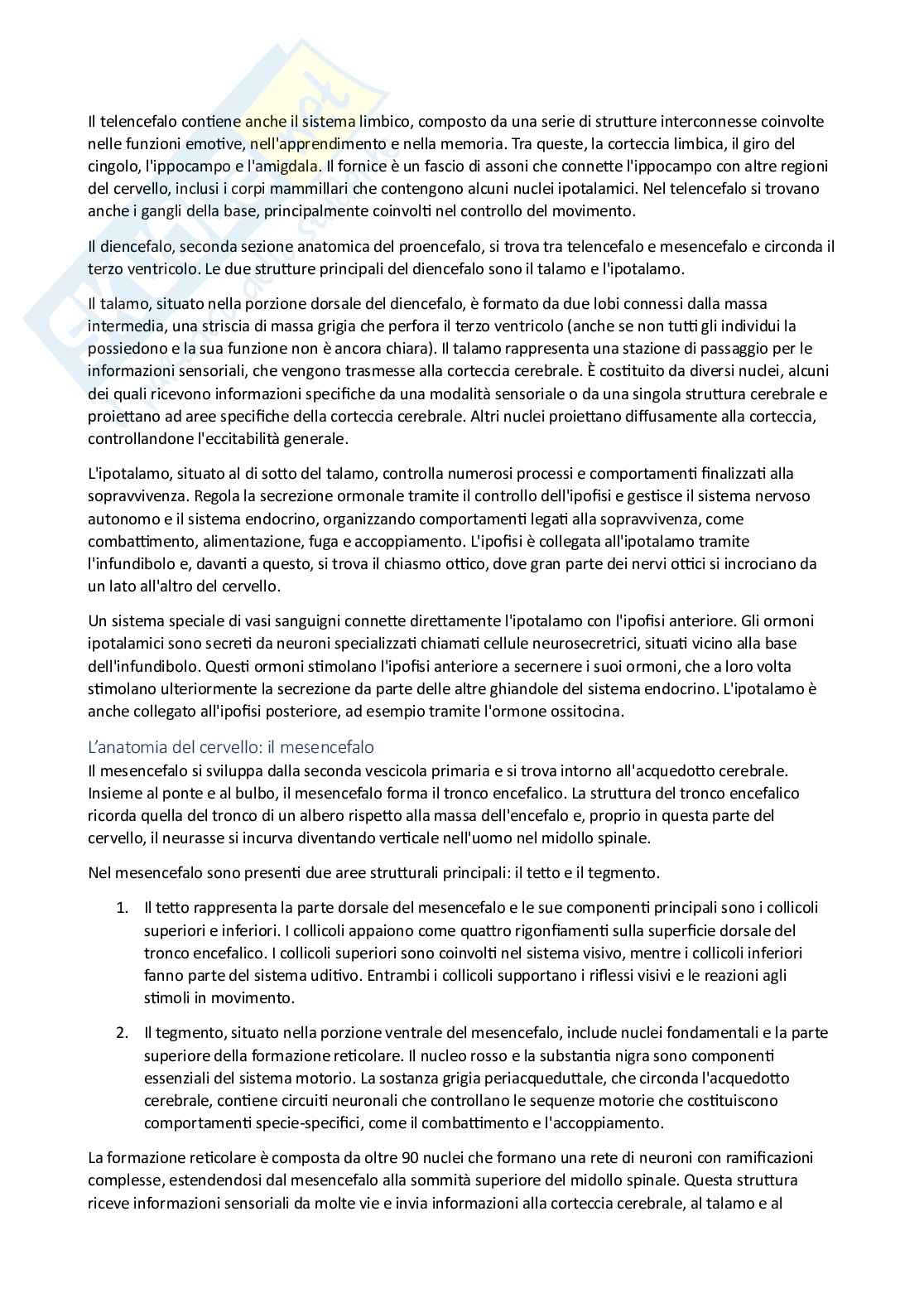 Psicobiologia e psicologia fisiologica Pag. 26