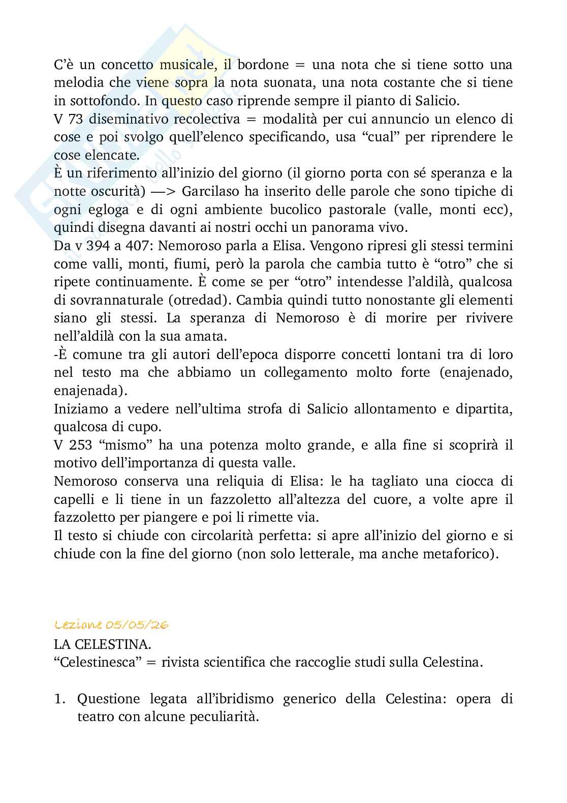 Appunti di Letteratura spagnola I  Pag. 41