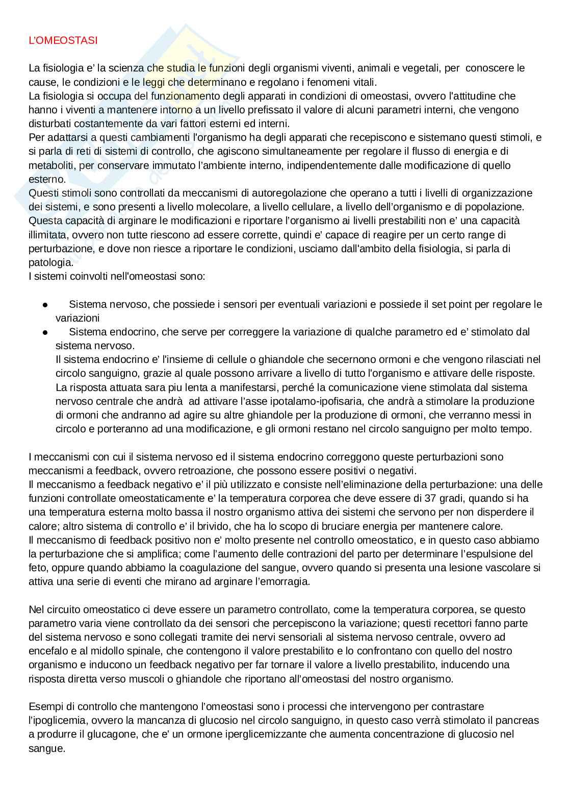 DOI-LANEE Borsa Portavino In Iuta Per Avvocato – Regalo Laurea Giurisprudenza, Esame Bar