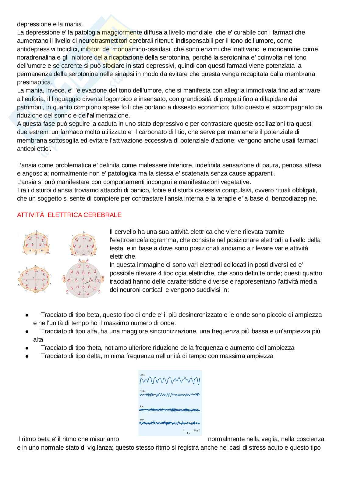Appunti per il superamento dell'esame di Fisiologia Pag. 36