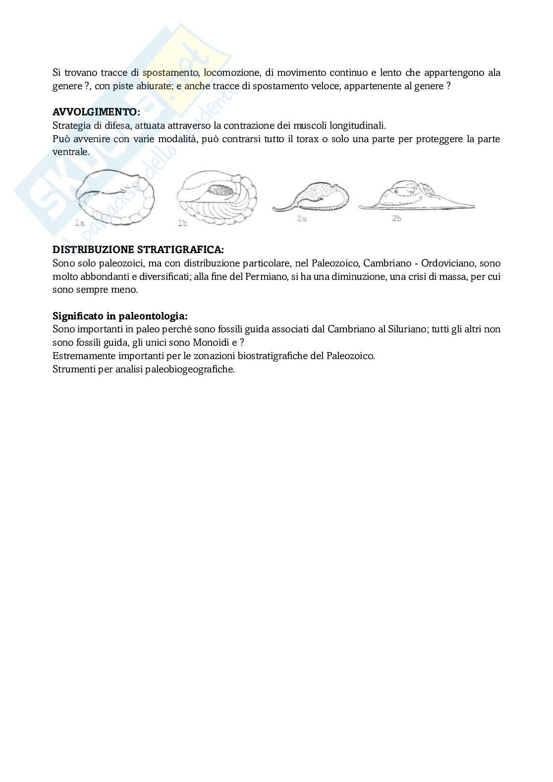 Appunti Paleontologia degli invertebrati Pag. 6