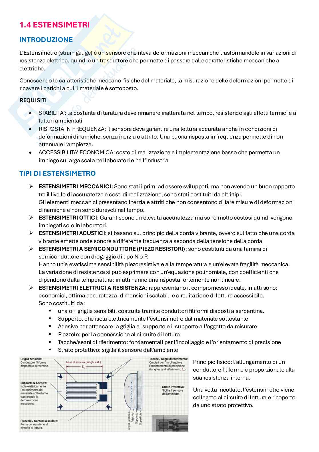 Appunti Biomeccanica sperimentale Pag. 11