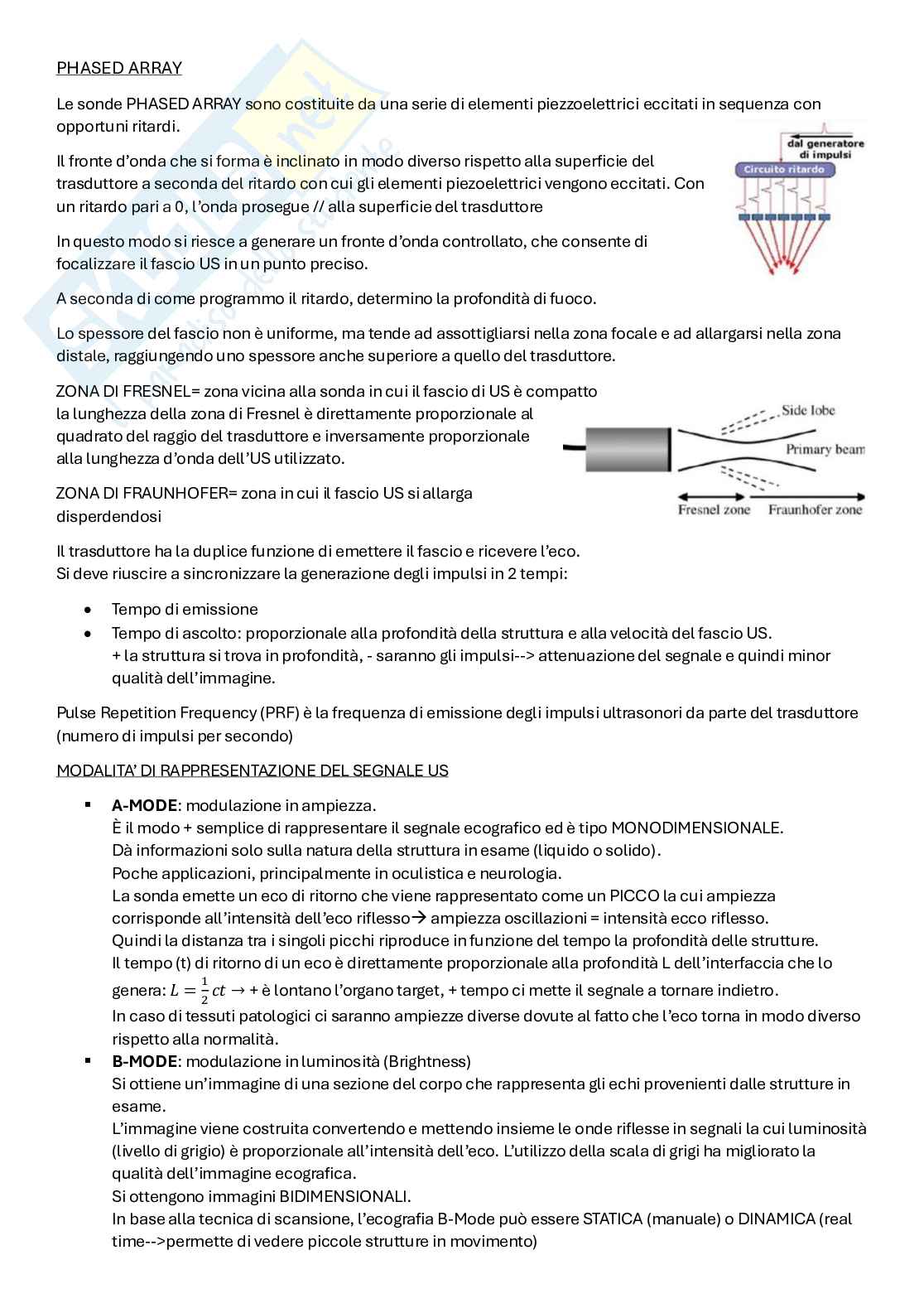Appunti Biomeccanica sperimentale Pag. 31