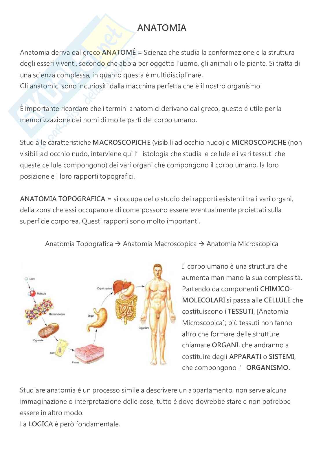 Anatomia - A.A. 2023/2024   Pag. 1