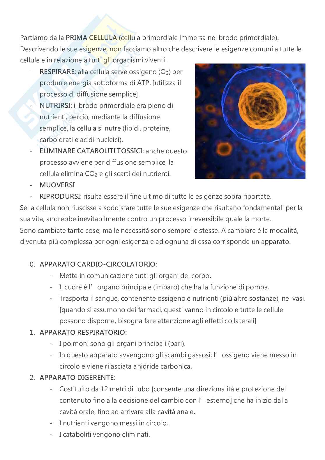 Anatomia - A.A. 2023/2024   Pag. 2