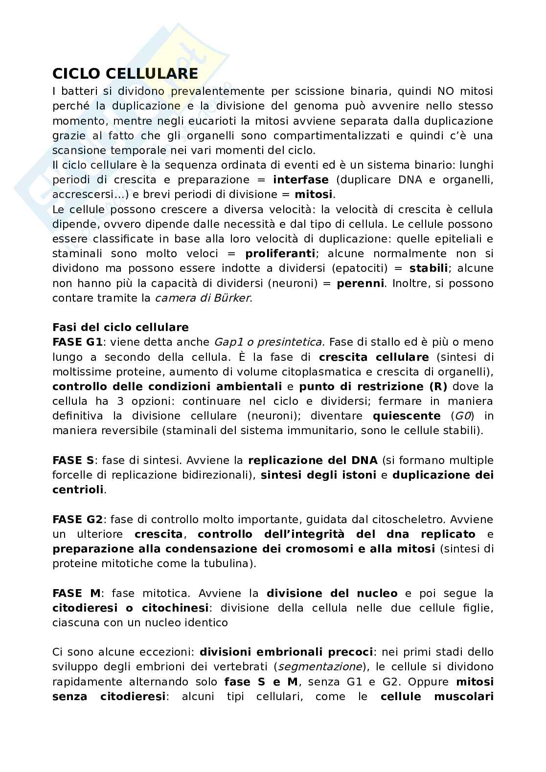 Ciclo cellulare (no mitosi e meiosi) Pag. 1