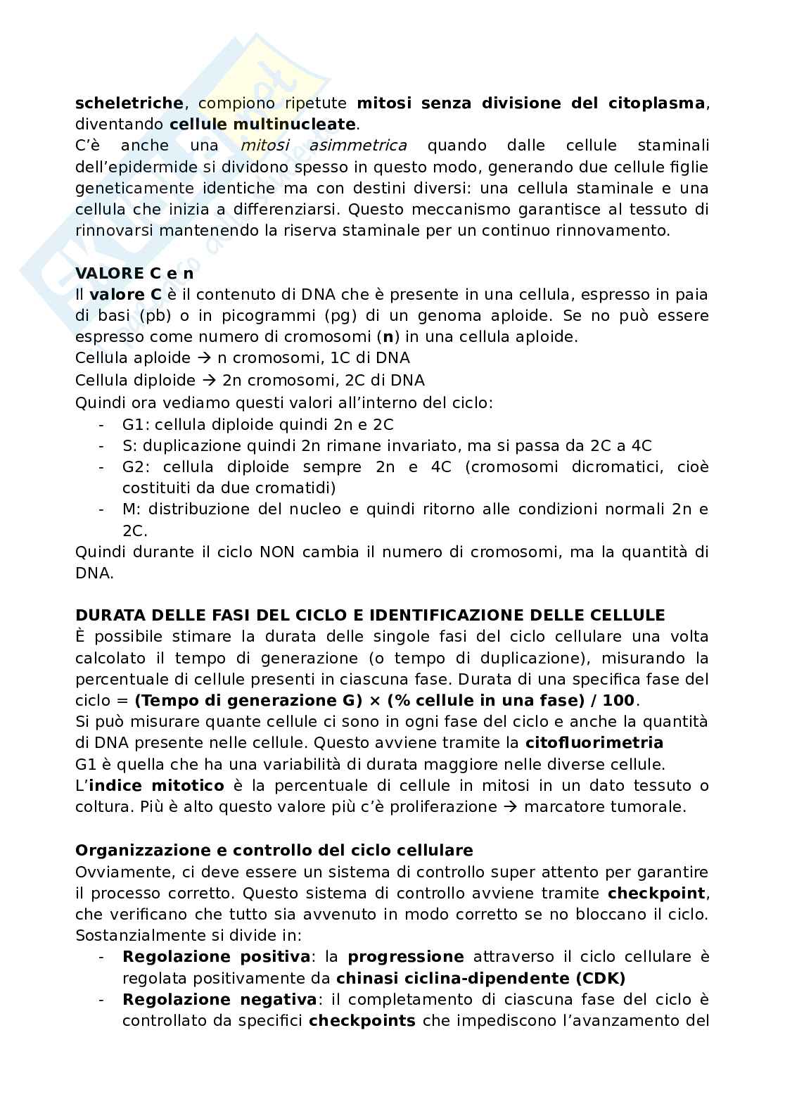 Ciclo cellulare (no mitosi e meiosi) Pag. 2