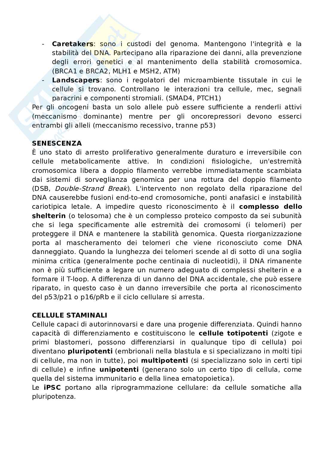 Ciclo cellulare (no mitosi e meiosi) Pag. 6