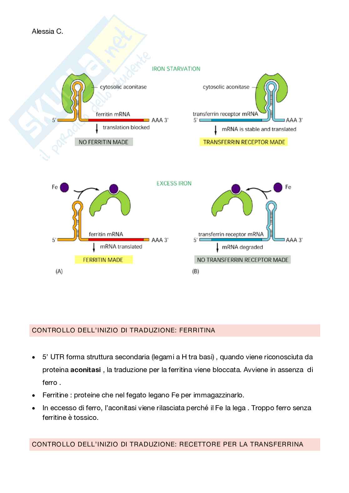 Appunti di genetica Pag. 31