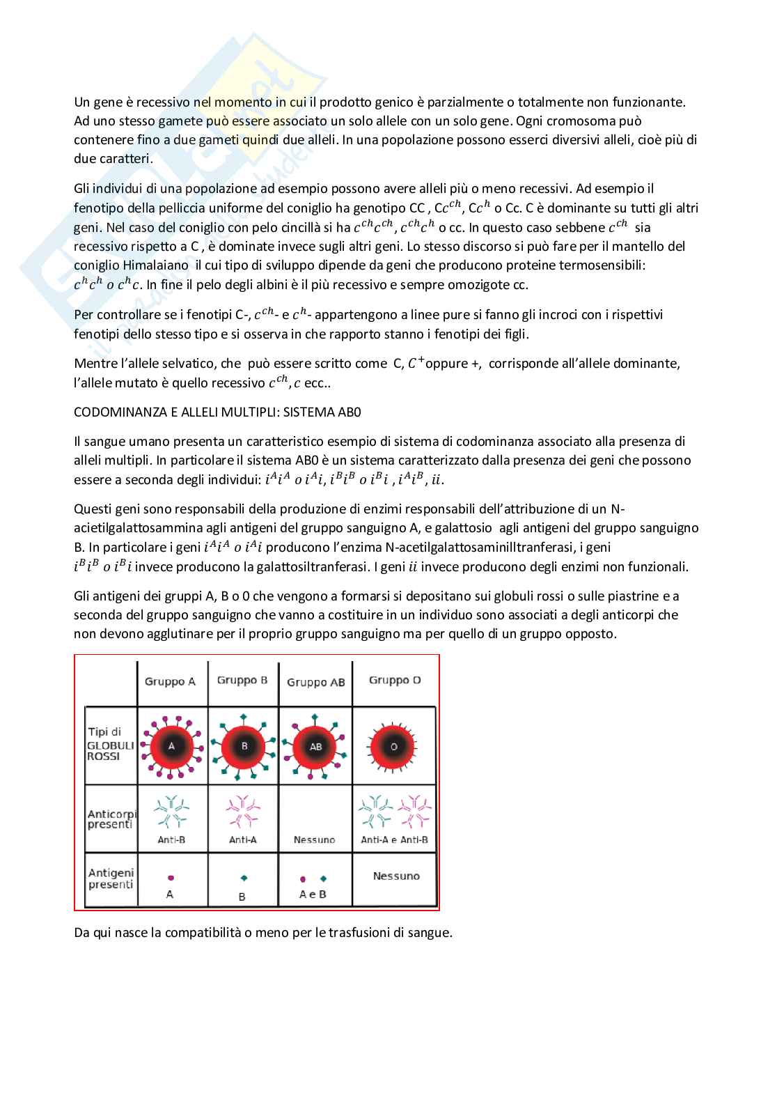 Riassunto Genetica (con esercizi di ricapitolazione) Pag. 11