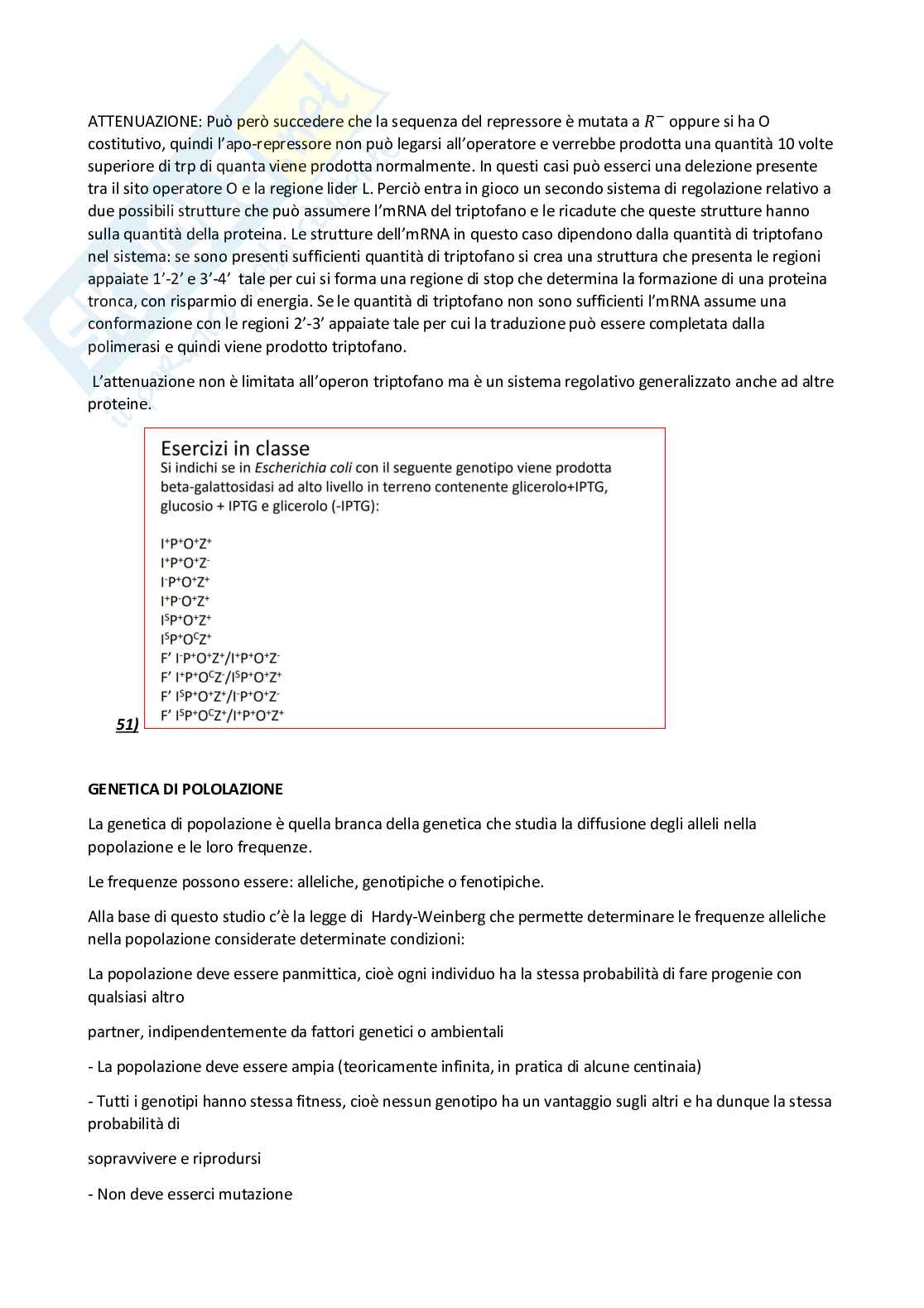 Riassunto Genetica (con esercizi di ricapitolazione) Pag. 61