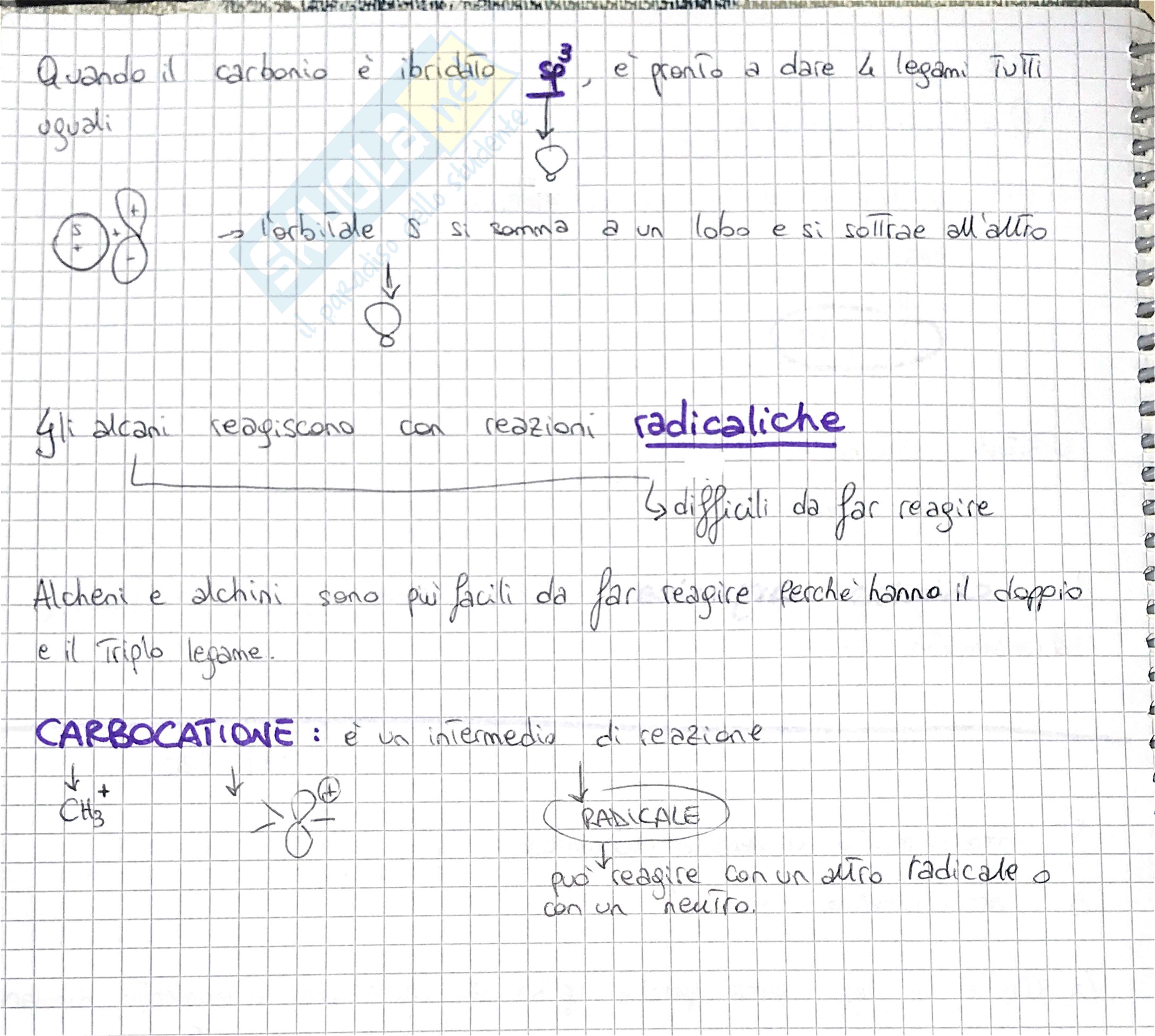 Cicloalcani, acidi e basi - Chimica organica Pag. 2