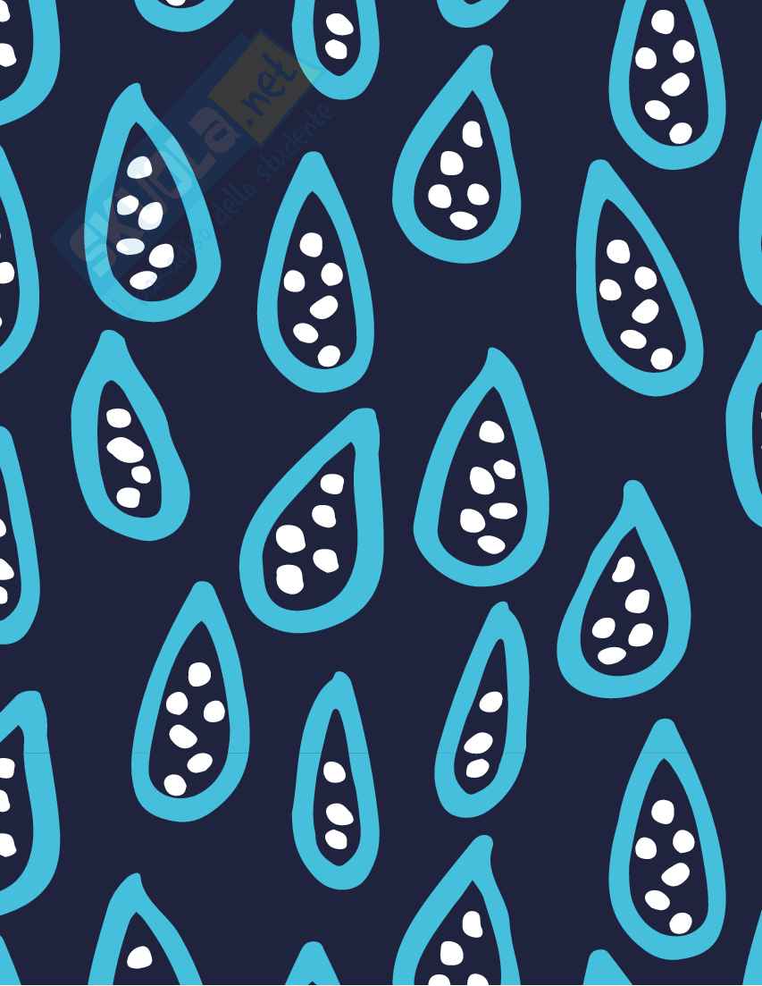 Schemi Idraulica Pag. 1