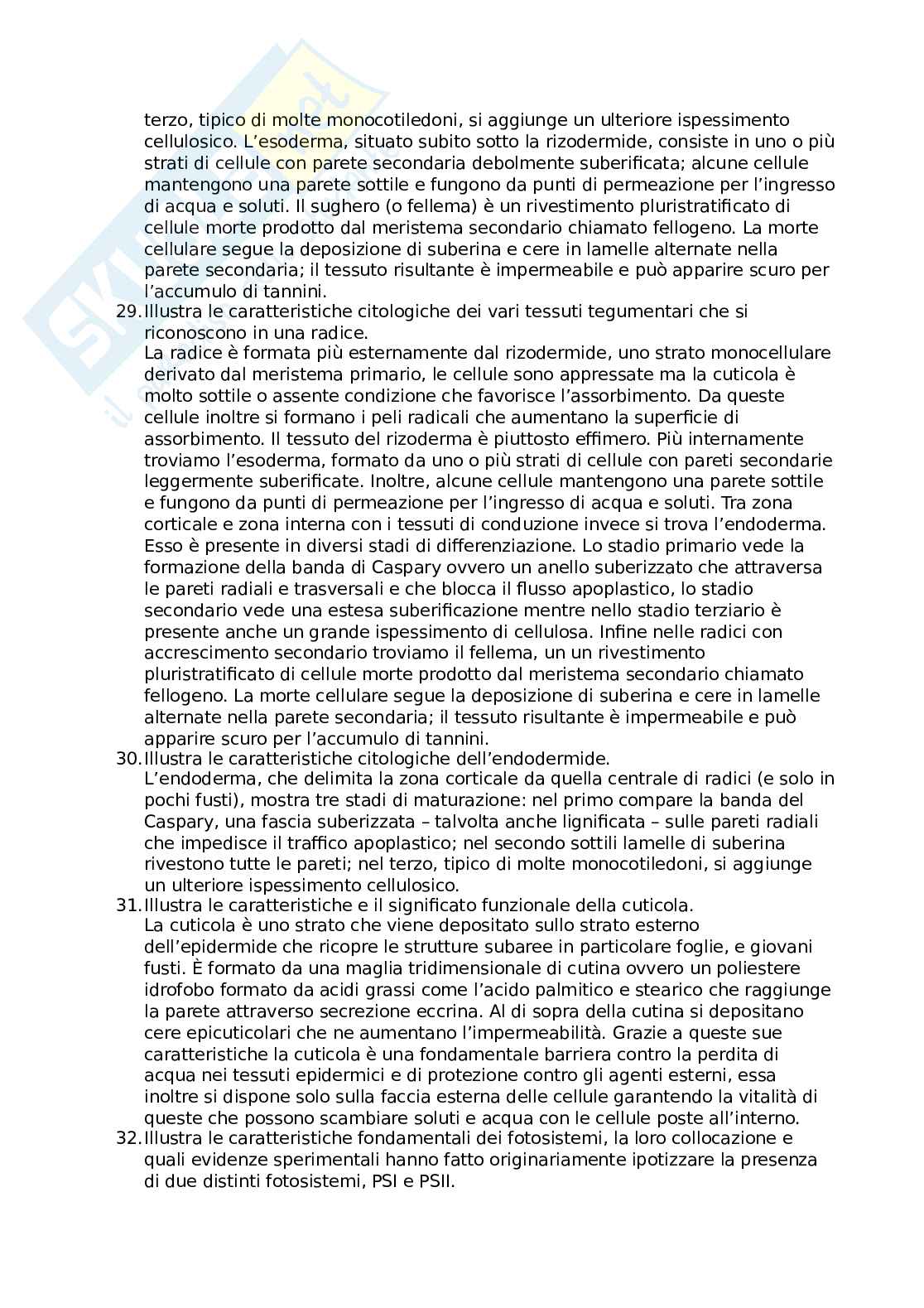 Domande aperte biologia vegetale Pag. 11