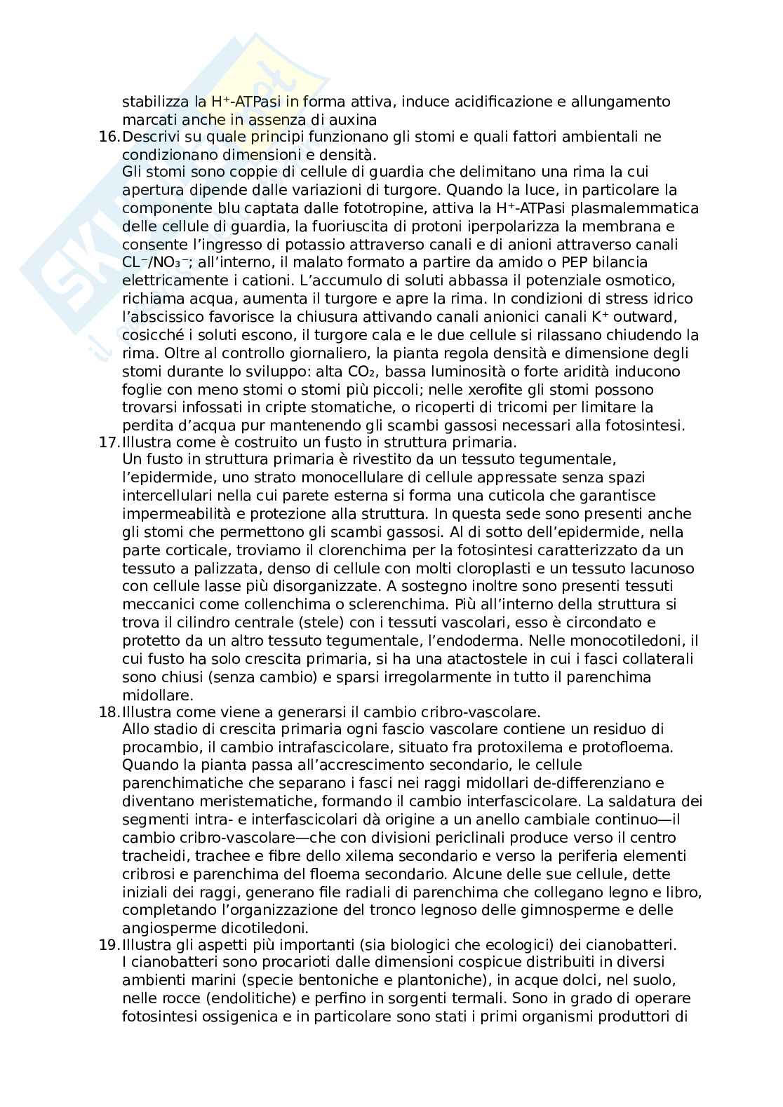 Domande aperte biologia vegetale Pag. 6