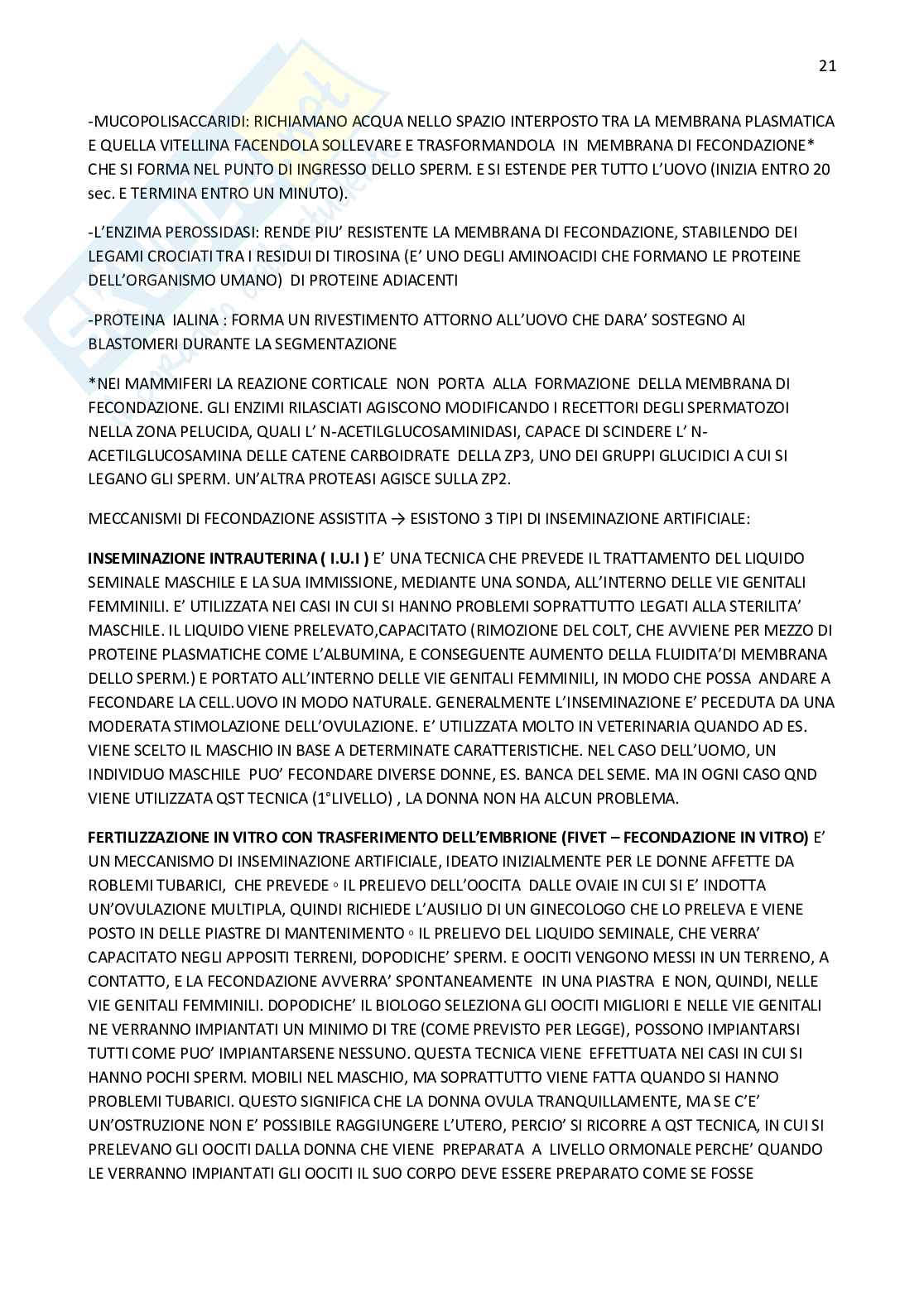 Biologia dello sviluppo  Pag. 21