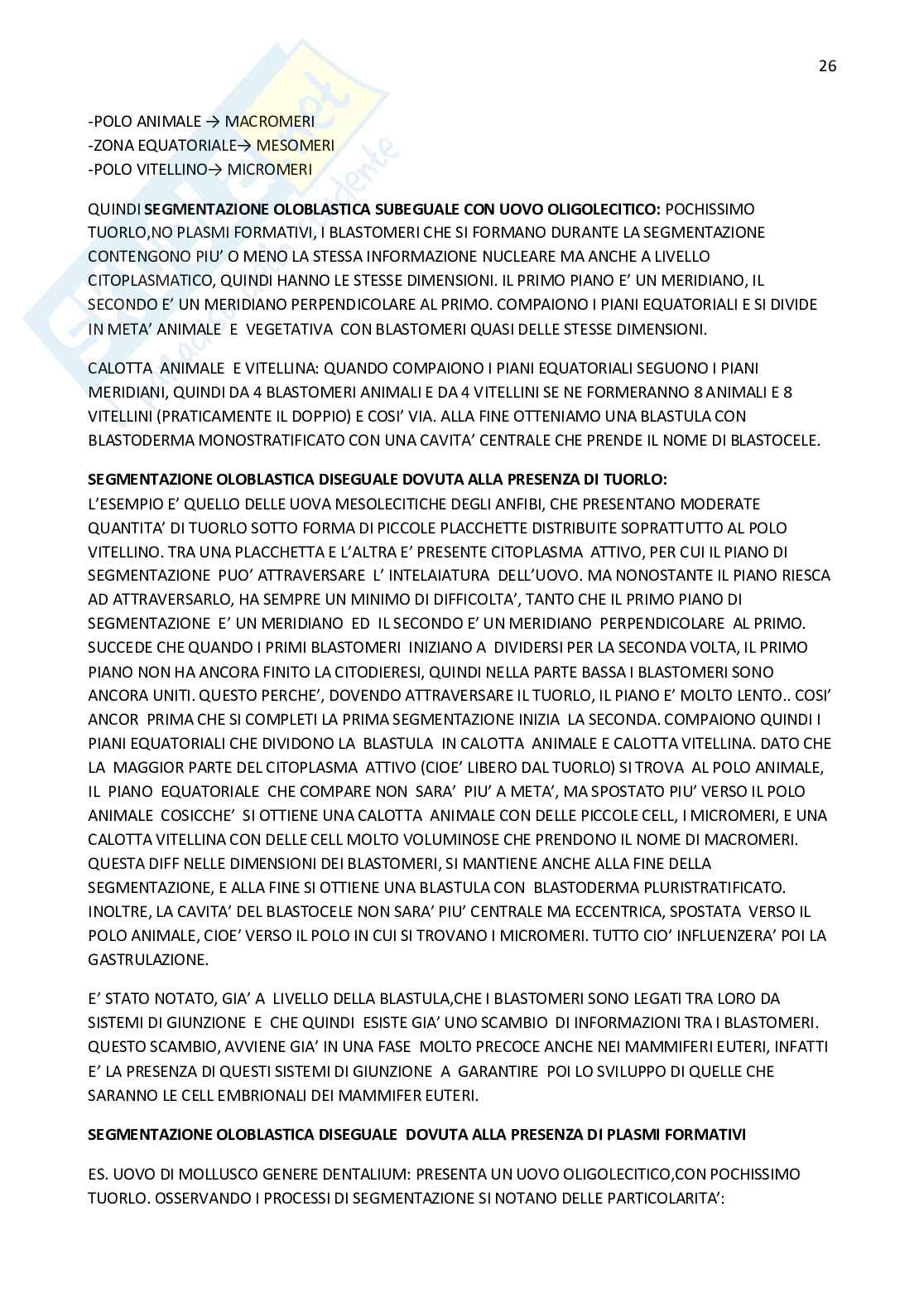 Biologia dello sviluppo  Pag. 26
