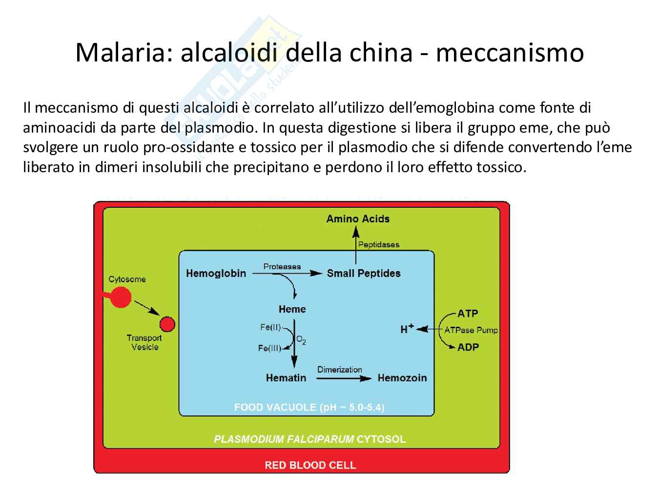 Antiparassitari Pag. 11